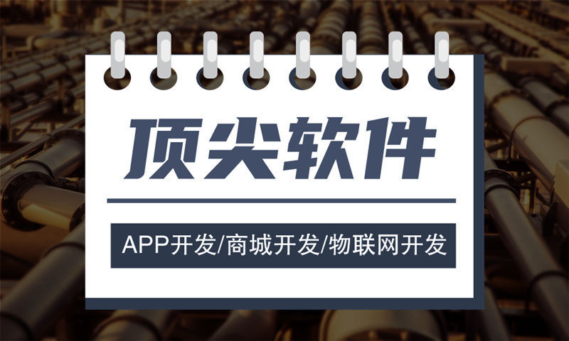 重庆琳恩纳水光模式商城开发软件：破解企业数字化转型难题的智能解决方案