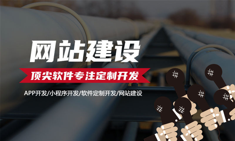 深圳琳恩纳水光模式商城开发软件：数字化转型的高效解决方案