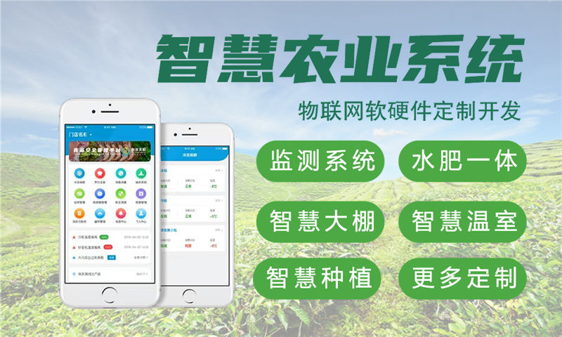 常州物联网开发难题破解：专业硬件调试服务助力企业高效转型