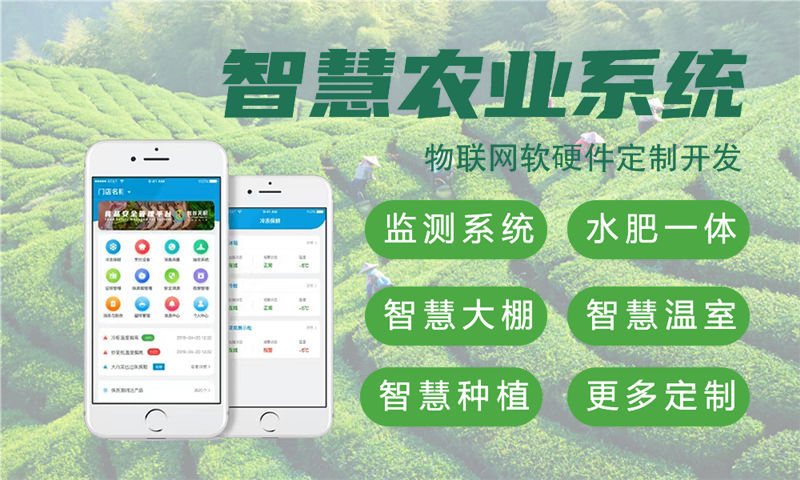 重庆嵌入式性能优化：破解智能硬件开发周期长、成本高的核心痛点