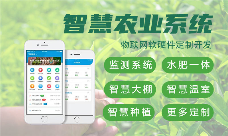 上海嵌入式测试开发：破解智能硬件研发周期长、成本高的关键方案