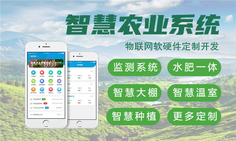 福州嵌入式Linux开发：破解智能硬件研发周期长、成本高的核心痛点